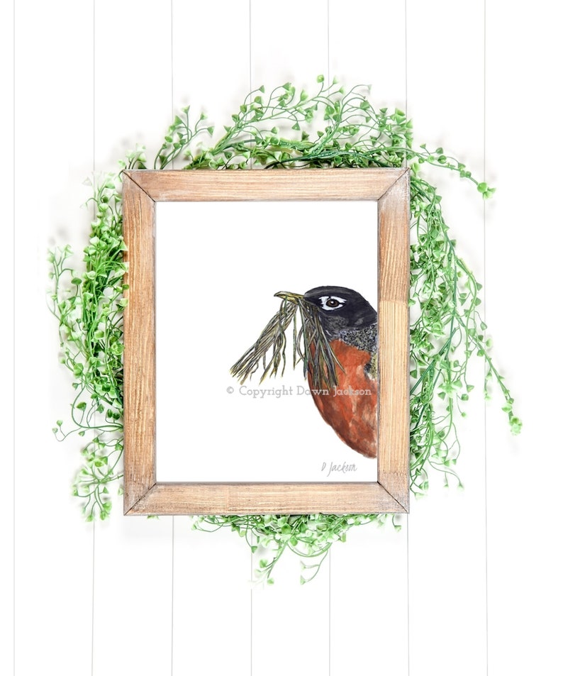 Robin Watercolor Art Print, Modern Bird, Minimalist Nature Lover Gift, Gift for Her, Unframed image 9