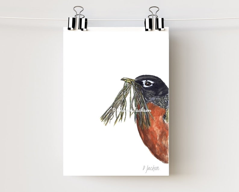 Robin Watercolor Art Print, Modern Bird, Minimalist Nature Lover Gift, Gift for Her, Unframed image 3