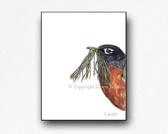 Robin Watercolor Art Print Laminated Mounted Ready to Hang, Modern Bird Wall Decor, Minimalist Nature Wall Art