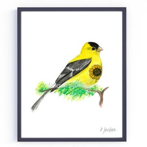 Goldfinch Watercolor Art Print, Whimsical Yellow Backyard Bird Art, State Bird Decor, Nature Gift for Her, Unframed