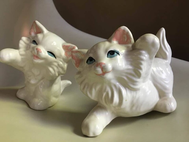 precious persian kittens