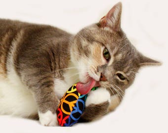 Large Catnip or Crackle Pillows Fun Cat Play Toy