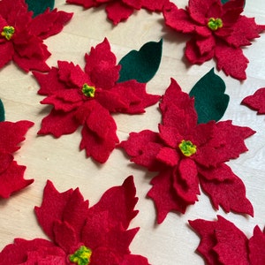 Può includere: Un set di nove fiori di stella di Natale in feltro rosso con foglie in feltro verde. I fiori sono sovrapposti e hanno una superficie leggermente testurizzata.