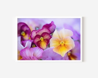 Colorful Pansies Floral Print: Bedroom Wall Art, Flower Photography