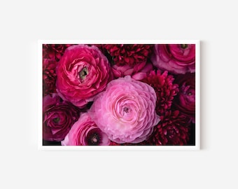 Pink Ranunculus Floral Art Print: Girls Room Decor