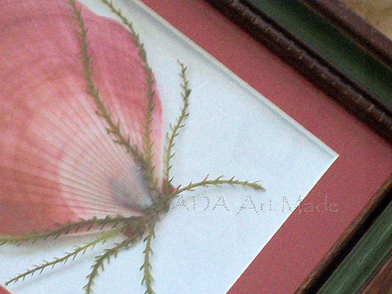 May include: A framed pressed flower art piece with a pink flower and green stems. The frame has a red mat and a dark wood outer frame.