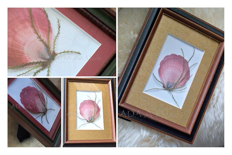 May include: A framed pressed flower art piece with a pink seashell and green stems. The frame is brown with a black outer edge. The background is white.