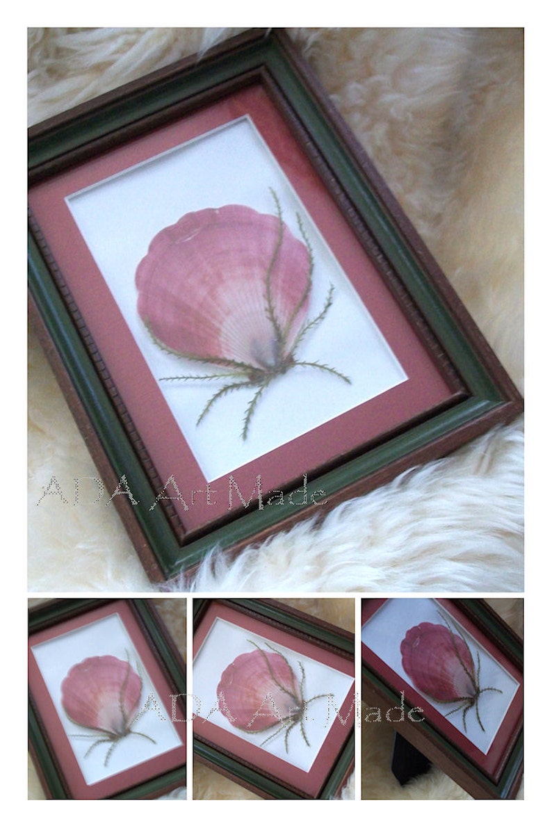May include: A framed pressed flower art piece with a pink flower in a green and brown frame.