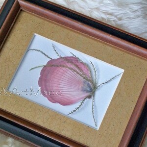 May include: A framed pressed flower art piece with a pink seashell and dried grasses in a brown wood frame with a black mat.