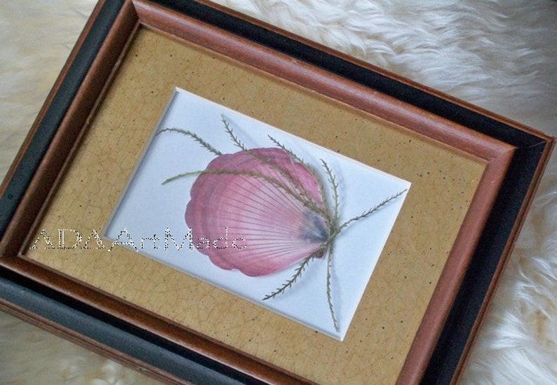May include: A framed pressed flower art piece with a pink seashell and dried grasses in a brown wood frame with a black mat.