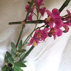 May include: A pink orchid plant in a white ceramic pot with green leaves and bamboo stalks.