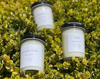 Scented Soy Candles Premium 9 OZ