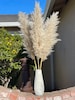 PAMPAS GRASS (3-5-10 ct) 2-6ft - Natural Dried Pampas Grass Decor, Reed Plume, Dry Boho Wedding Flower Arrangement, 