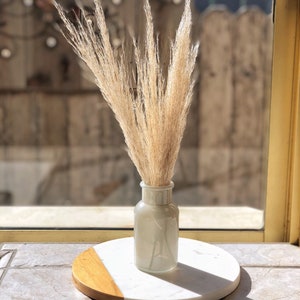 PAMPAS GRASS 3-5-10 ct 2-6ft Natural Dried Pampas Grass Decor, Reed Plume, Dry Boho Wedding Flower Arrangement, image 8