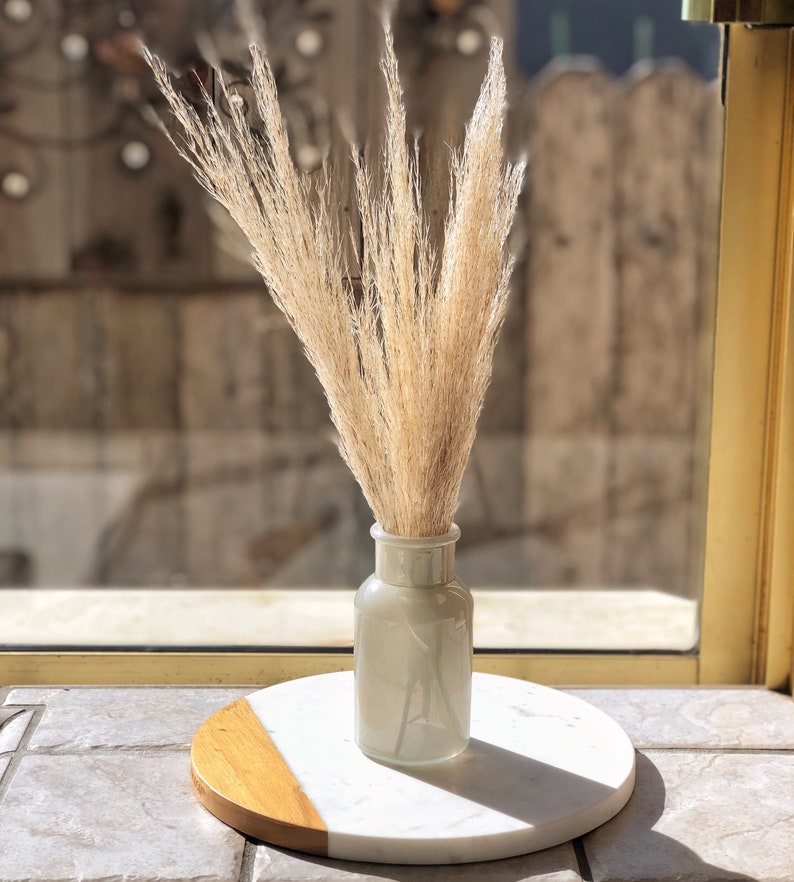 PAMPAS GRASS 3-5-10 ct 2-6ft Natural Dried Pampas Grass Decor, Reed Plume, Dry Boho Wedding Flower Arrangement, image 8