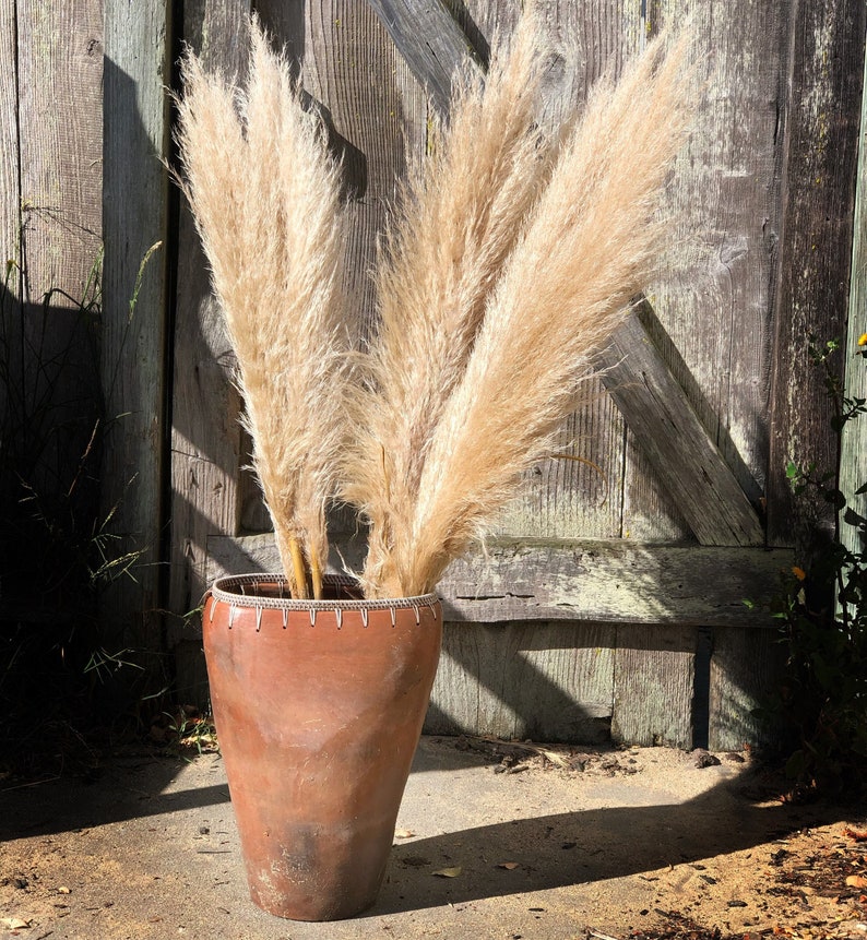 PAMPAS GRASS 3-5-10 ct 2-6ft Natural Dried Pampas Grass Decor, Reed Plume, Dry Boho Wedding Flower Arrangement, image 2