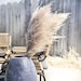 Extra Large Fluffy Natural Dried Pampas Grass single stem decor 