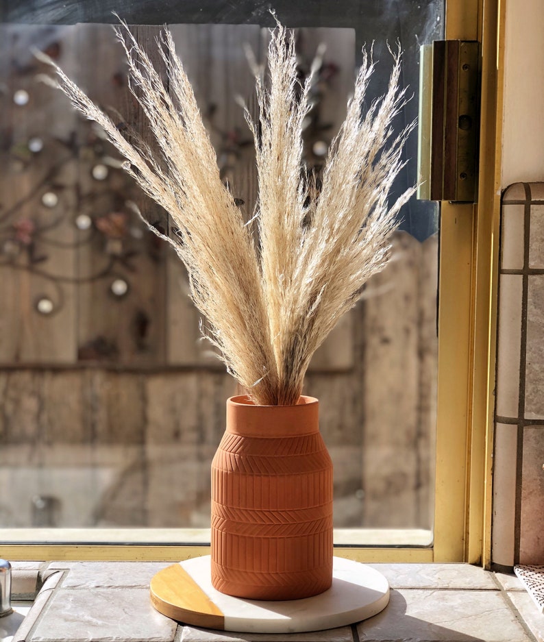 PAMPAS GRASS 3-5-10 ct 2-6ft Natural Dried Pampas Grass Decor, Reed Plume, Dry Boho Wedding Flower Arrangement, image 7