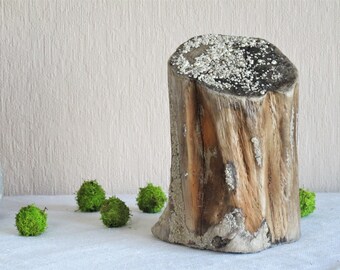 Decorative driftwood piece sea driftwood beach finds