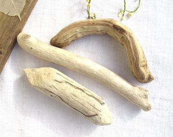 Decorative Driftwood pieces - driftwood - Beach finds - Nautical