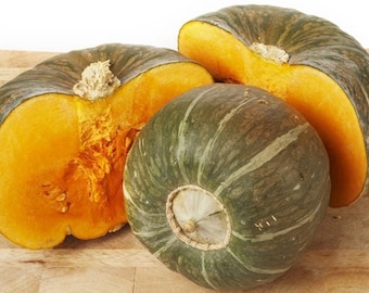 Burgess Buttercup Squash - 10+ seeds