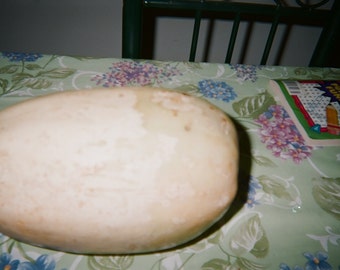 Spaghetti squash seeds