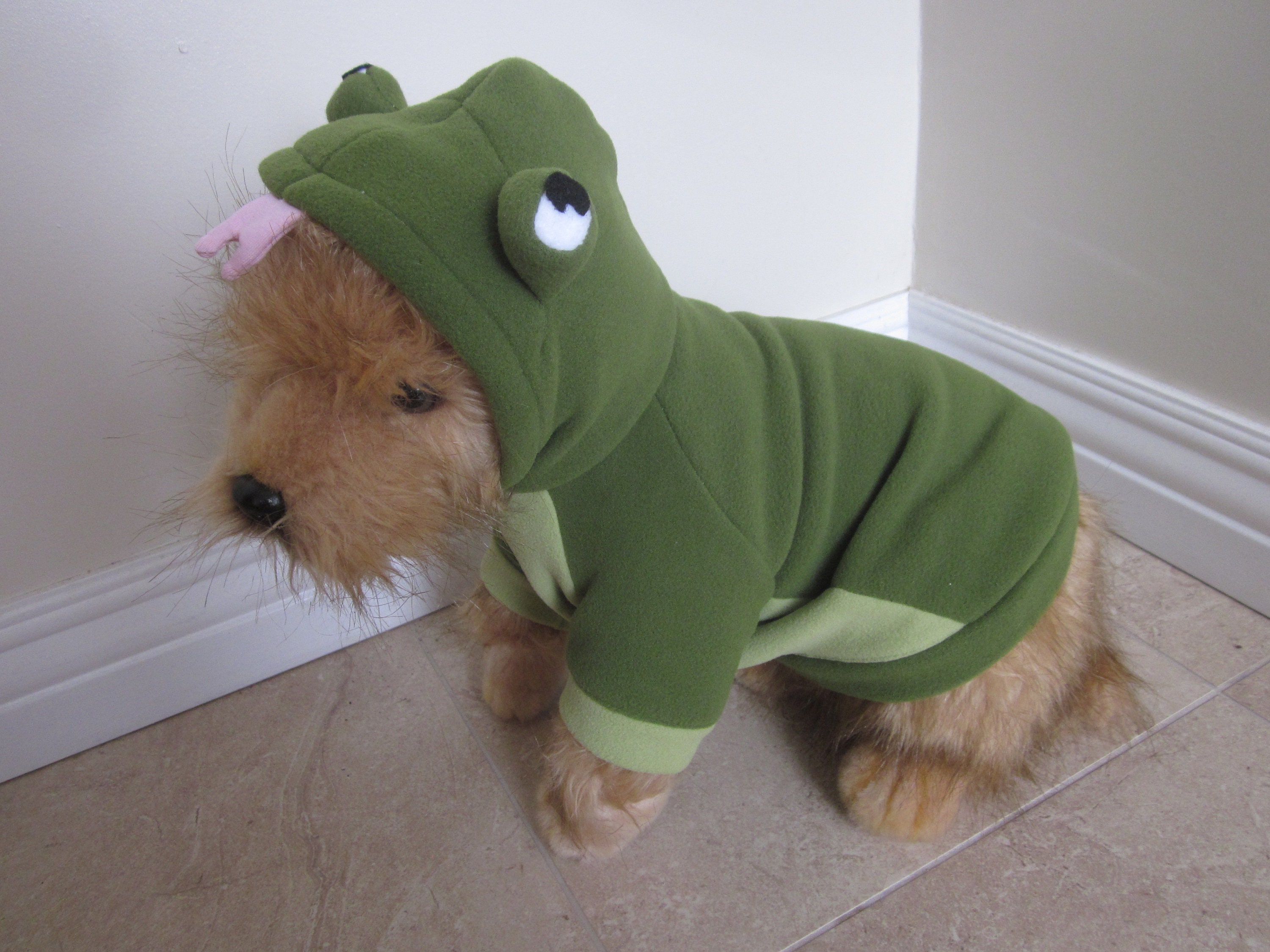 dog frog costume