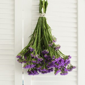 Purple Statices - Limonium 10-12 stems