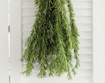 Fresh Cut Rosemary Herbs 8-10 stems