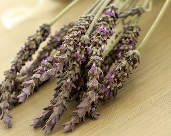 Fresh English Lavender Flower - 10-15 stems for wedding, home decor, gift for loved ones