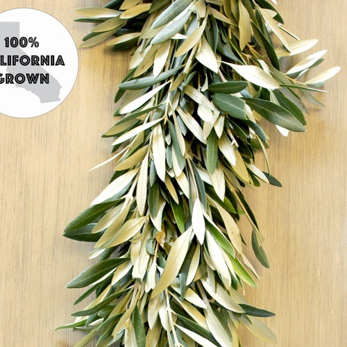 Handmade Fresh Olive Branch Greenery Garland for Wedding Etsy
