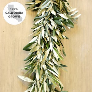 Handmade Fresh Olive Branch Greenery Garland for Wedding, Home Decor,  Holiday Party, Christmas Decor 