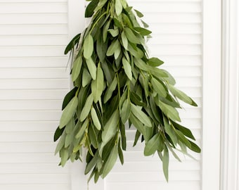 Fresh Cut Bay Leaf Herb Greens - 8 - 10 stems / bunch for arrangement | bouquet | home décor | DIY project
