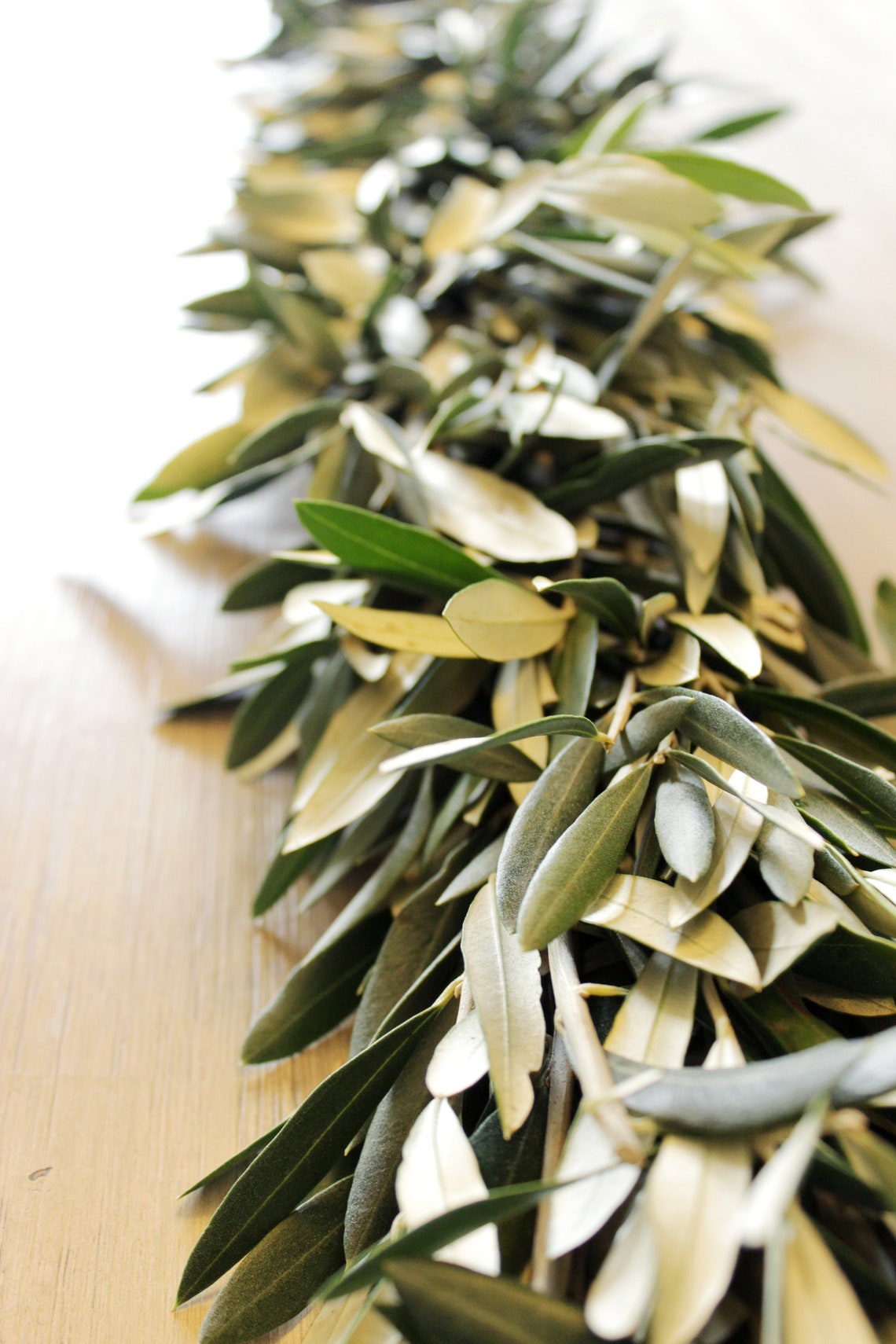 Handmade Fresh Olive Branch Greenery Garland for Wedding Etsy