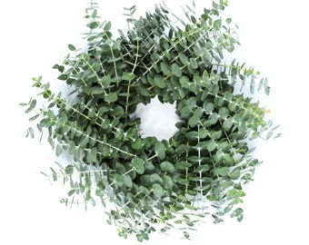 Living Eucalyptus Wreath 12" Handcrafted Fresh Cut Greenery Small Wreath Cabinet Front Door Farmhouse Décor Wedding House Warming Yoga Lover