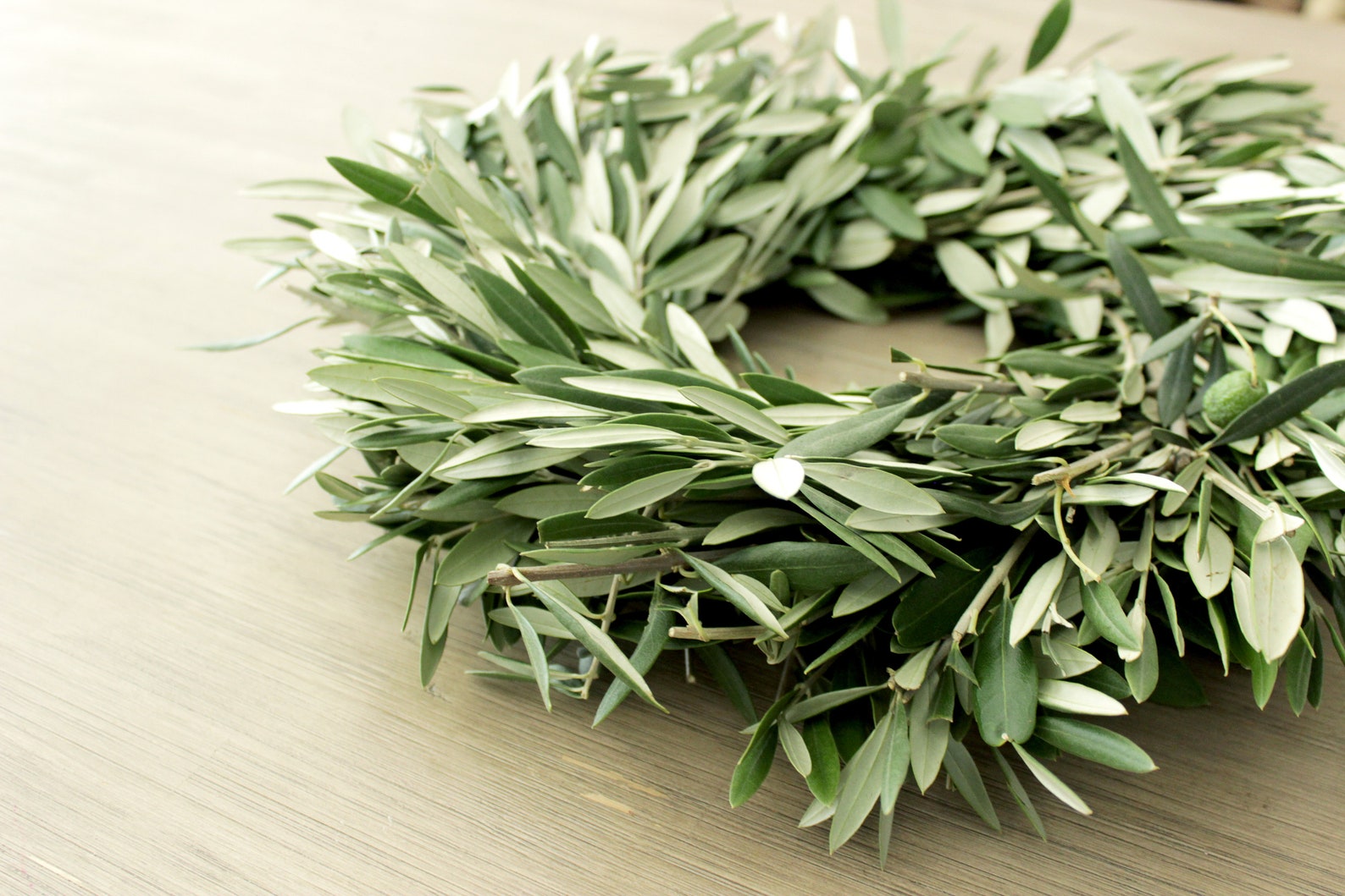 Fresh Handmade Olive Branch Wreath 16 Inch Greenery Wreath - Etsy