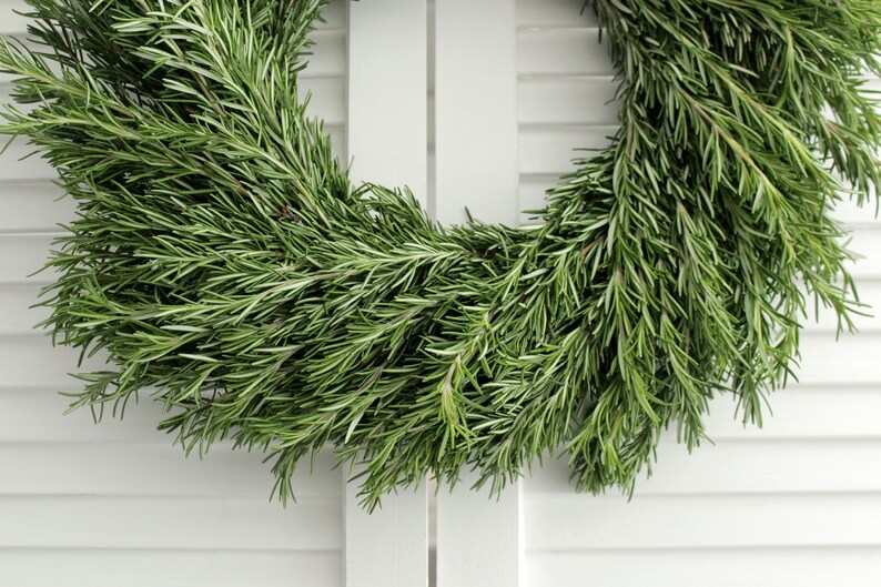 Fresh Handmade Rosemary Wreath 20 inch for Front Door, Church Door, Wedding, Home Decor, Gift for Loved Ones image 3
