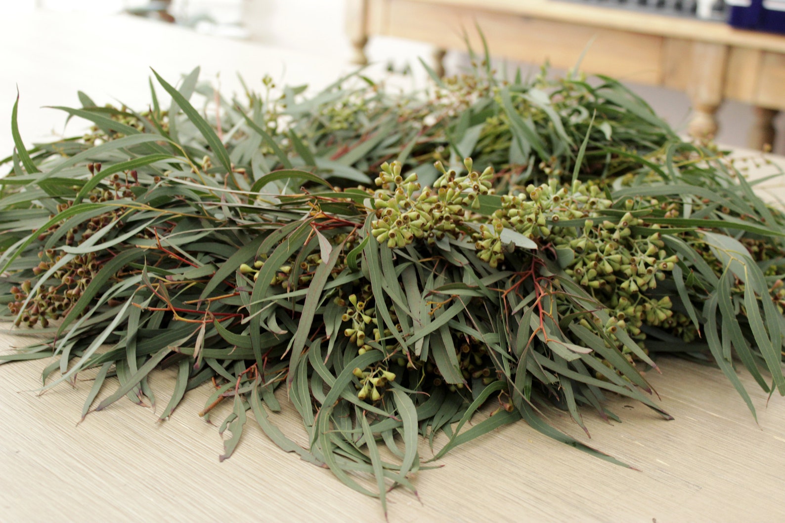 Fresh Handmade Willow Eucalyptus Seeded Eucalyptus Wreath Etsy