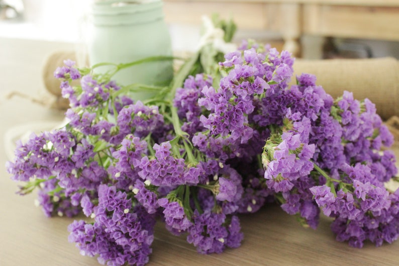 Purple Statices - Limonium 10-12 stems image 5