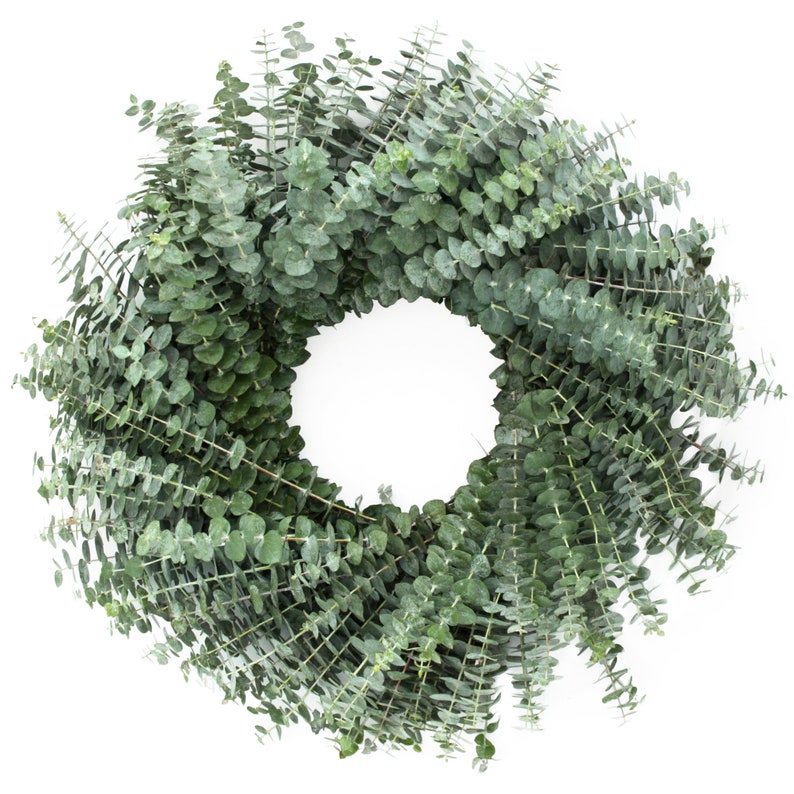 Fresh Cut Living Eucalyptus Greenery Wreath 20" Front Door Porch Church Farmhouse Décor Wedding House Warming Gift for Her Him Mom Bouquet image 7