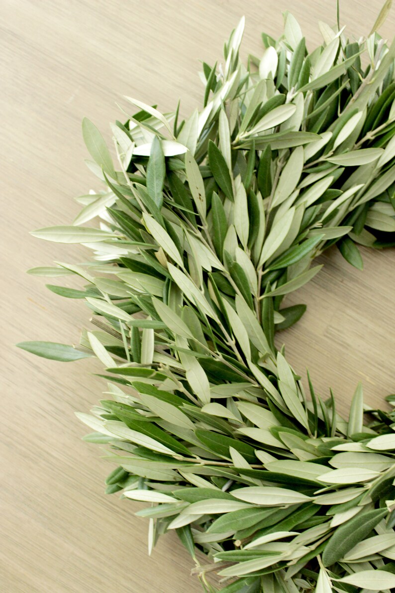 Fresh Handmade Olive Branch Wreath 16 Inch Greenery Wreath Etsy