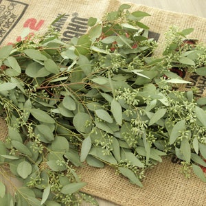 May include: A bunch of eucalyptus stems with green leaves and small green buds. The stems are arranged on a brown burlap surface.