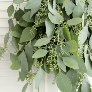 Fresh Eucalyptus Seeded Greenery Bunch Wedding DIY Bouquet Home Decor Gift to loved ones image 2