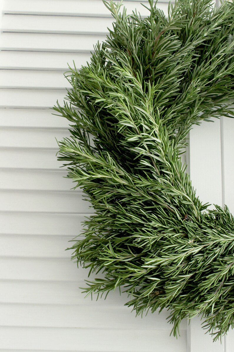 Fresh Handmade Rosemary Wreath 20 Inch Etsy