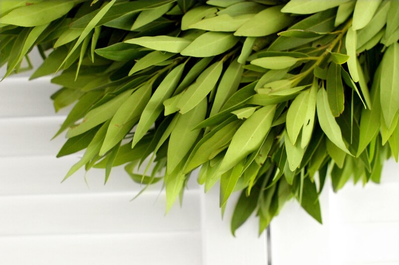 Fresh Bay Leaf Wreath 20 Inch Greenery Wreath for Front Etsy