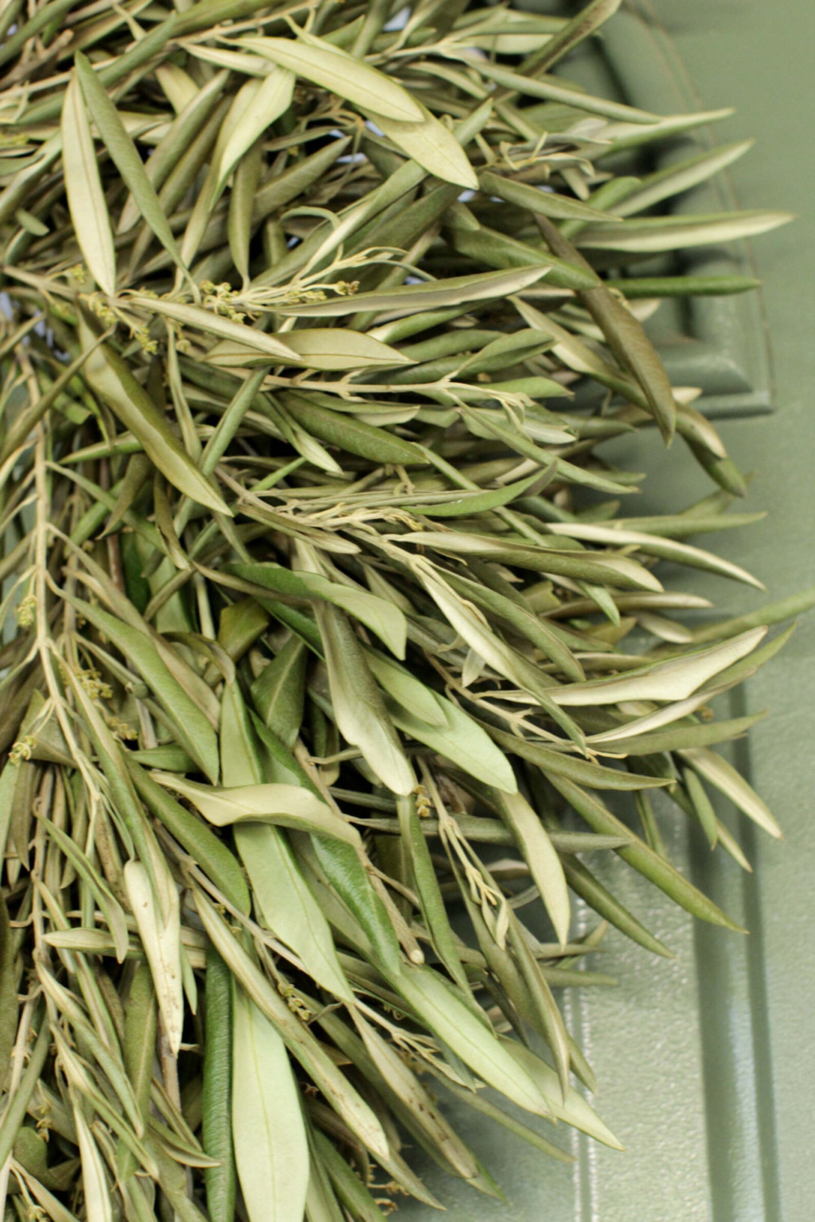 Dried Olive Branch Wreath 20 Inch Greenery Wreath for Etsy