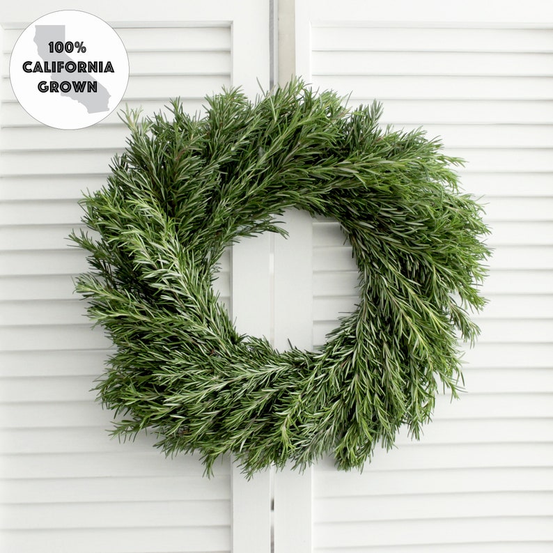 Fresh Handmade Rosemary Wreath 20 inch for Front Door, Church Door, Wedding, Home Decor, Gift for Loved Ones image 1