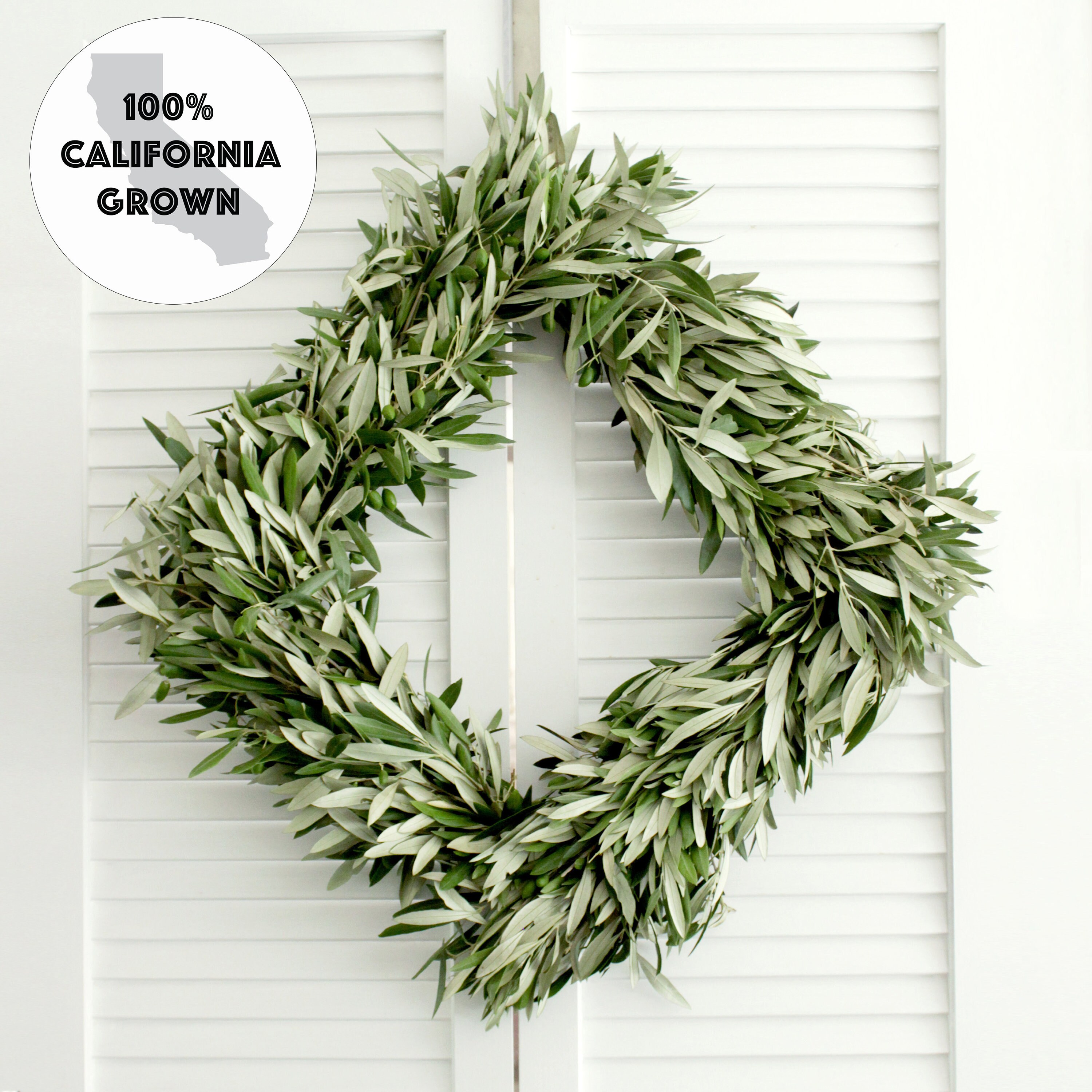 Fresh Olive Branch Squared Wreath 20 inch Greenery Wreath Etsy