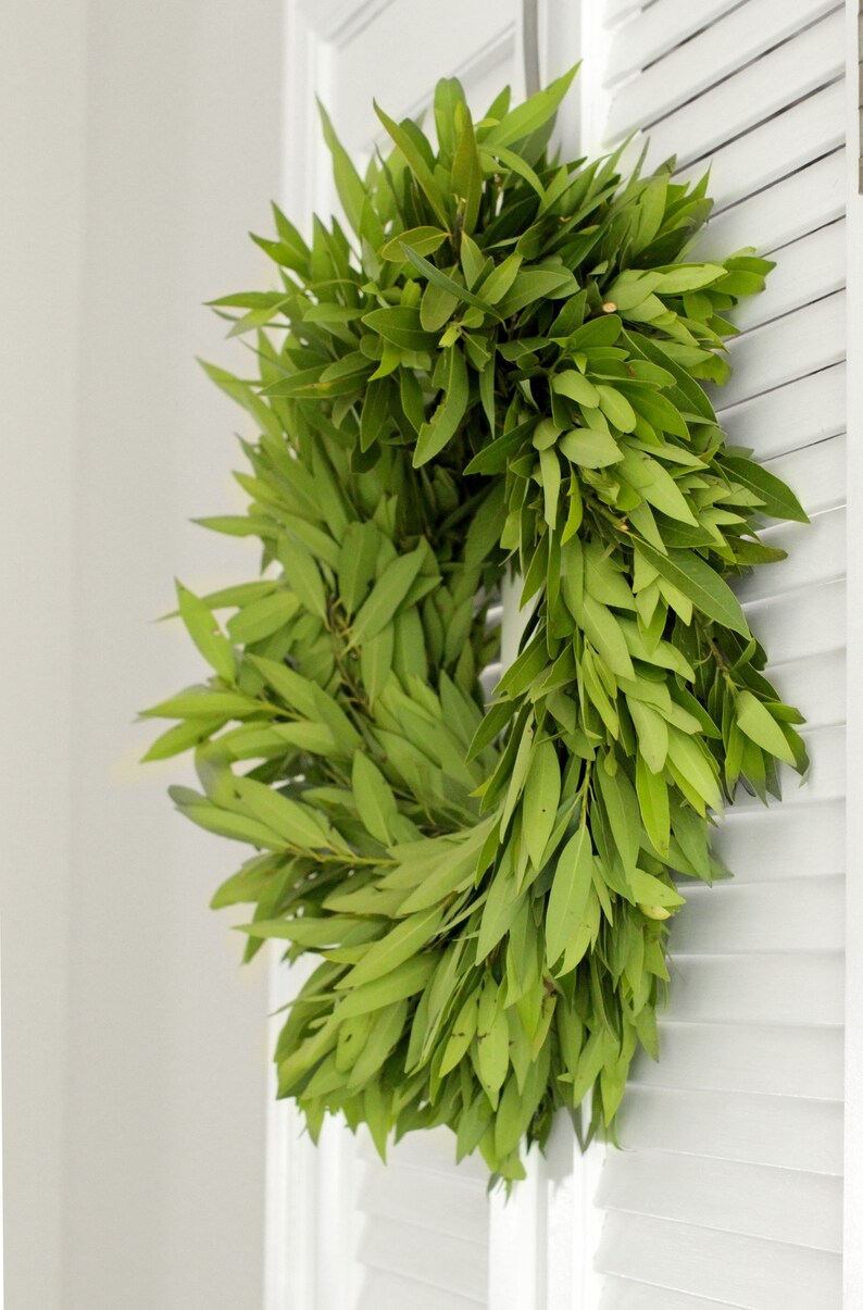 Fresh Bay Leaf Wreath 20 Inch Greenery Wreath for Front Etsy