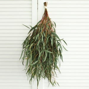Fresh Living Eucalyptus (Willow) 5-8 stems Wedding Greenery Bouquet Farmhouse Home Decor DIY Arrangement